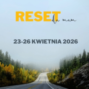 Reset 2026